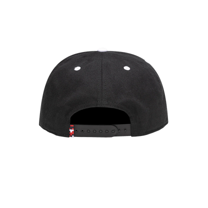 Fan Ink Collection USA Bankroll Snapback Hat
