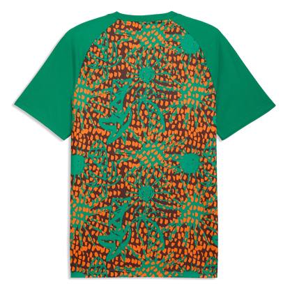 Puma 2026 Ivory Coast Men's Pre-Match Soccer Jersey