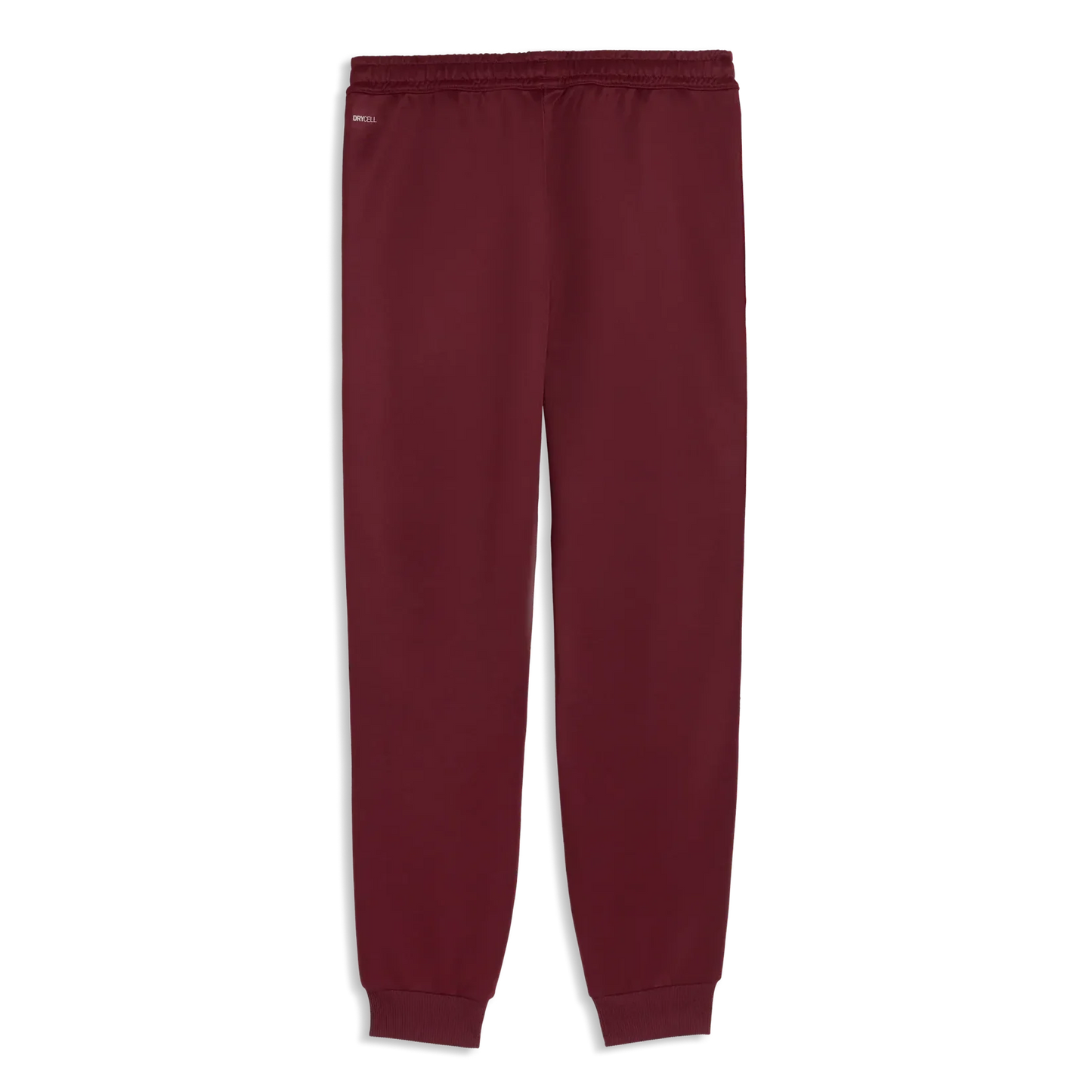Puma 2026 Portugal Men's KING Anthem Pants