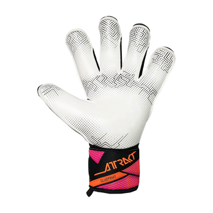 Reusch Attrakt Advance Evolution Glueprint Goalkeeper Gloves