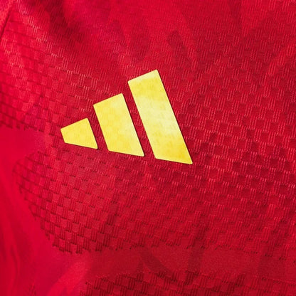 Belgium Jersey 2026 World Cup Football Kit Player Version