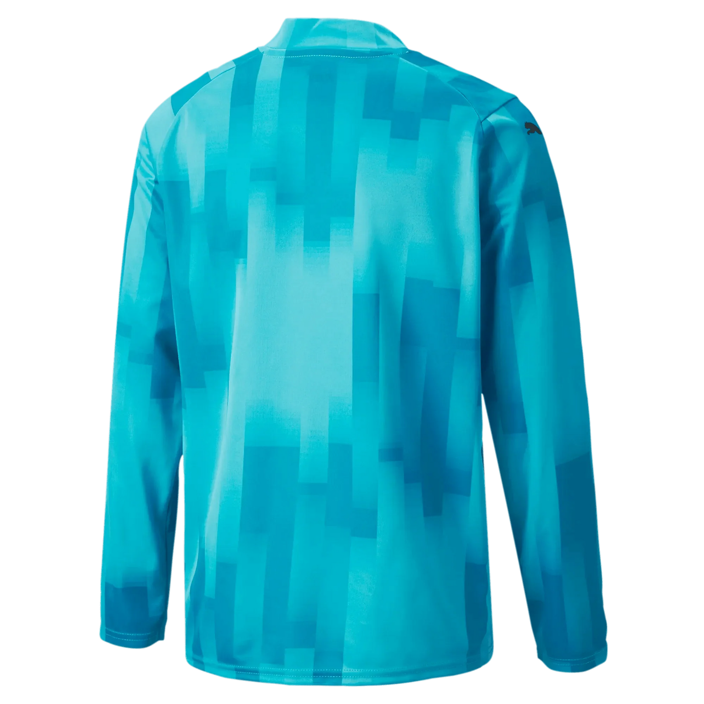 Puma Teamtarget Goalkeeper Longsleeve Youth Jersey