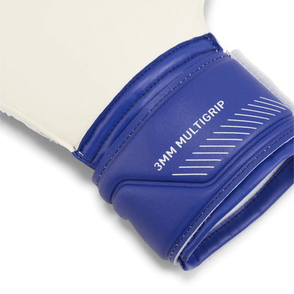 Puma Ultra Match Protect RC Goalkeeper Gloves